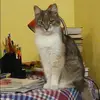Отзыв от Фаина Попова
